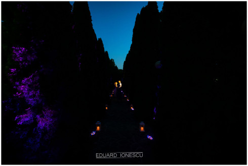 Alex & Eleni - fotografia 45