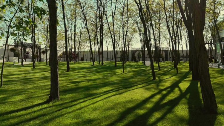Aybo Garden – Locații de nuntă, Agigea